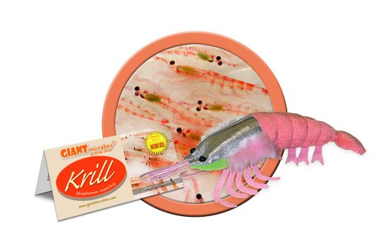 giant microbes krill