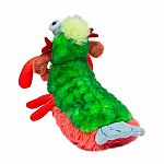 Punchie Peacock Mantis Shrimp