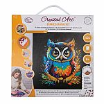 Crystal Art Medium Framed Canvas Kit - Owl  TS