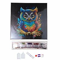 Crystal Art Medium Framed Canvas Kit - Owl  TS