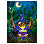 Owl Wizard Birthday Card  