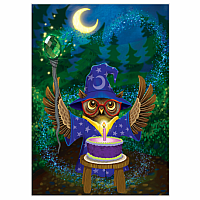 Owl Wizard Birthday Card  