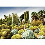 Beautiful Gardens : The Huntington Desert Garden Californa - Ravensburger