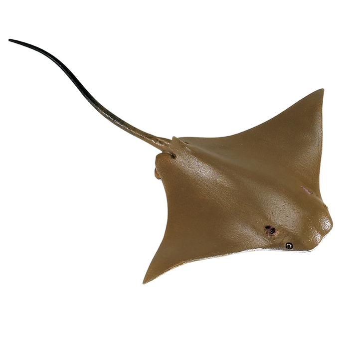 Cownose Ray - Toy Sense