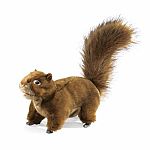 Red Squirrel Hand Puppet