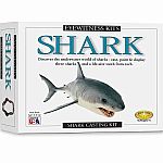 Eyewitness Kits - Shark