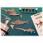 Eyewitness Kits - Shark