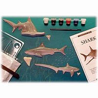 Eyewitness Kits - Shark