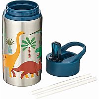 Stainless Steel Bottle - Dino