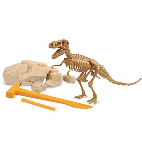 T-Rex Multi-Activity Kit - Toy Sense