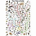 The Tree of Life - Eurographics