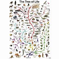 The Tree of Life - Eurographics